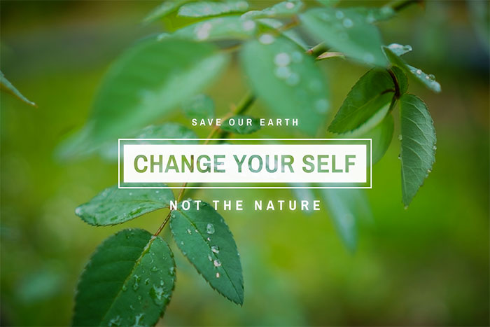 Save our earth photo with tree branch background