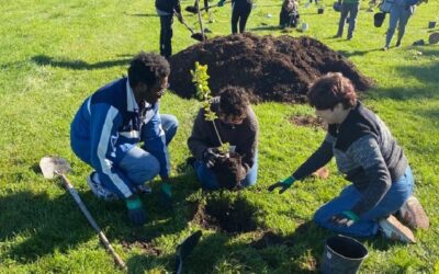 Our Second Community Tree Planting Event in Ottawa