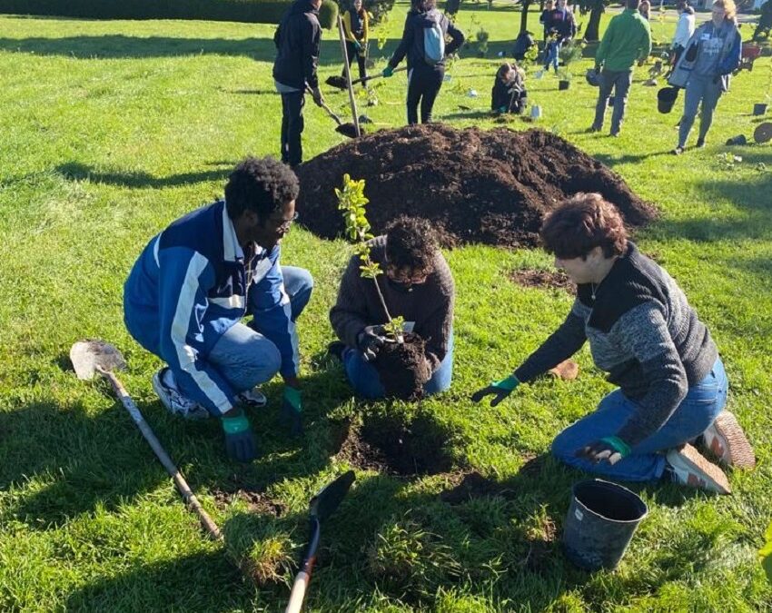 Our Second Community Tree Planting Event in Ottawa