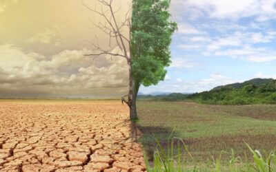 Global Warming is Not More Beach Time, It’s a Threat to Our Well-being